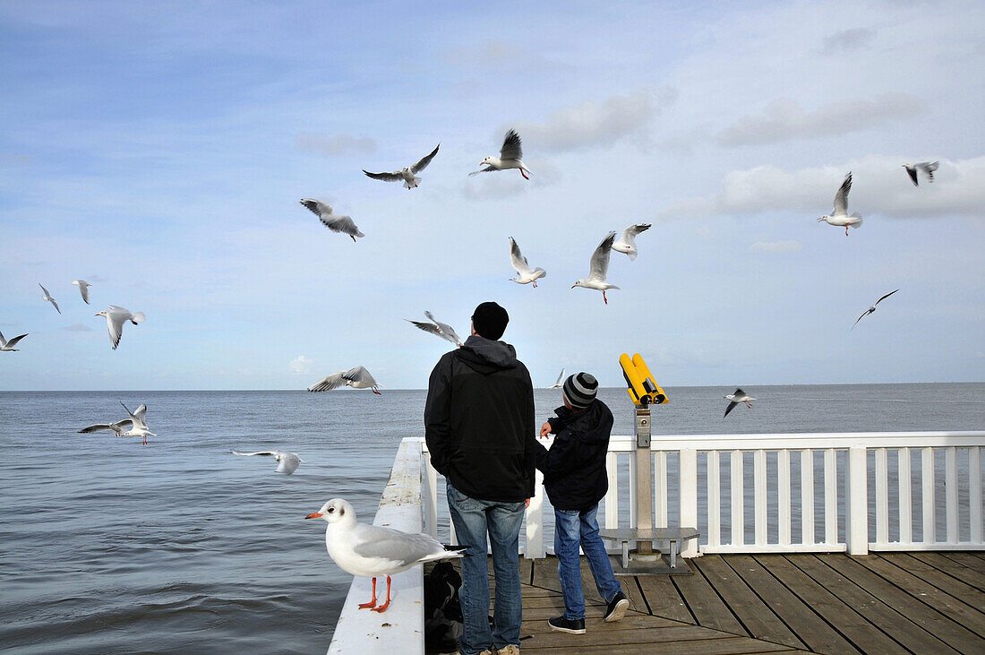 Father and son watching the seagulls at the outer harbour of Cuxhaven, North Sea coast of Lower Saxony, Germany