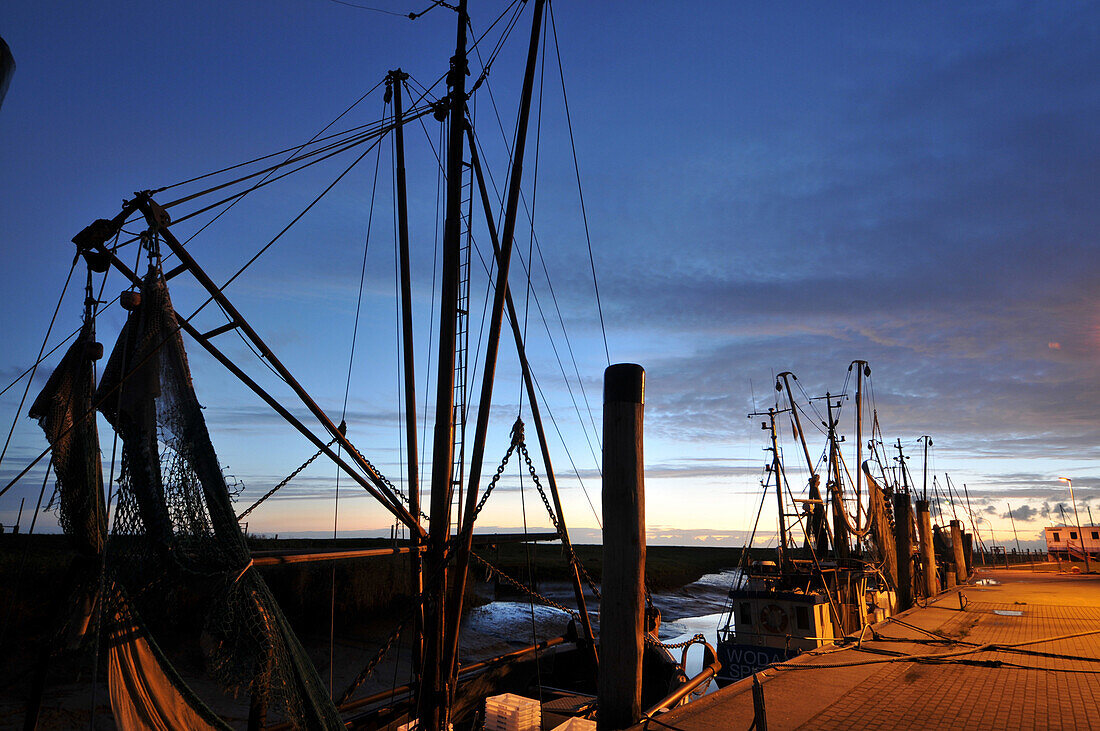 Shrimp trawlers in the harbour, Spieka near Nordholz, North Sea coast of Lower Saxony, Germany