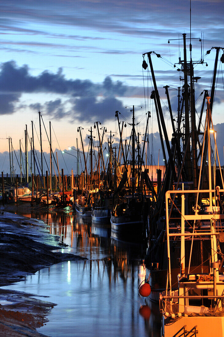 Shrimp trawlers in the harbour, Spieka near Nordholz, North Sea coast of Lower Saxony, Germany
