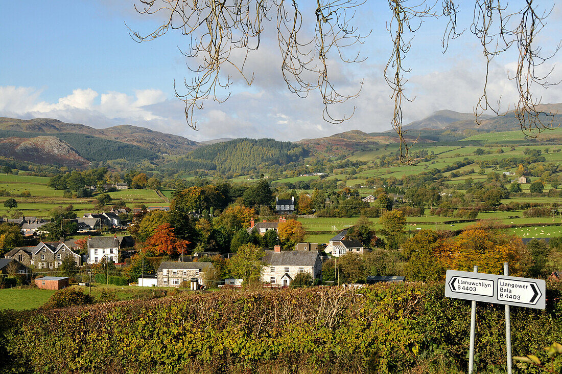 Village at Llyn Tegid near Bala, Gwynedd, North-Wales, Wales, Great Britain