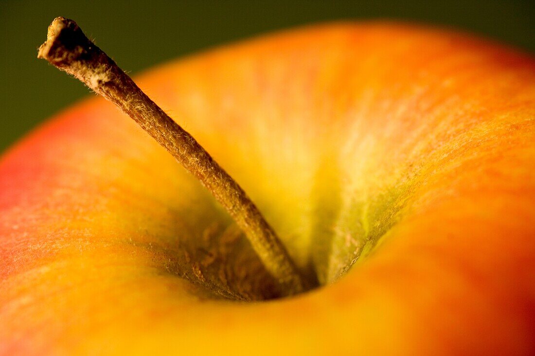 Apple stalk on a red apple