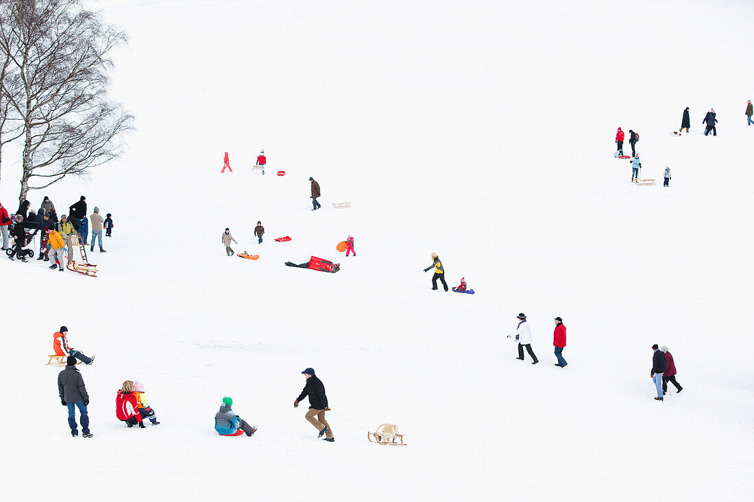 Schlittenfahrer und Spaziergänger an einem verschneitem Hang, München, Deutschland