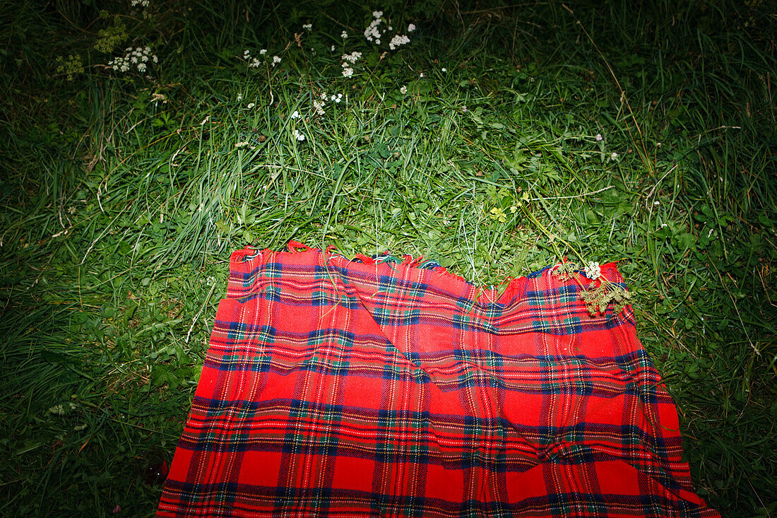 A red chequered blanket on grass