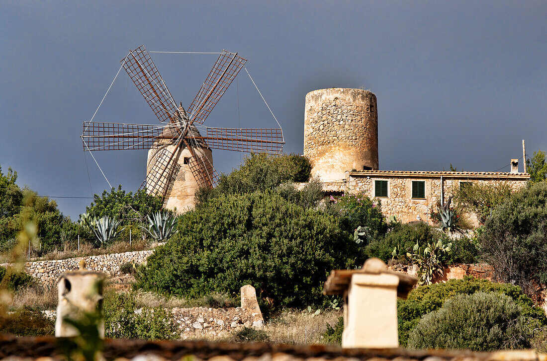 Windmühle auf dem Berg von Andratx, Mallorca, Spanien