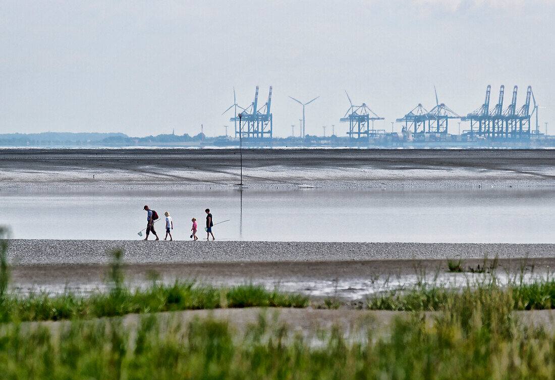 Beach at Fedderwardersiel, North Sea, National Park Lower Saxon Mudflats, Butjadingen, Lower Saxony, Germany