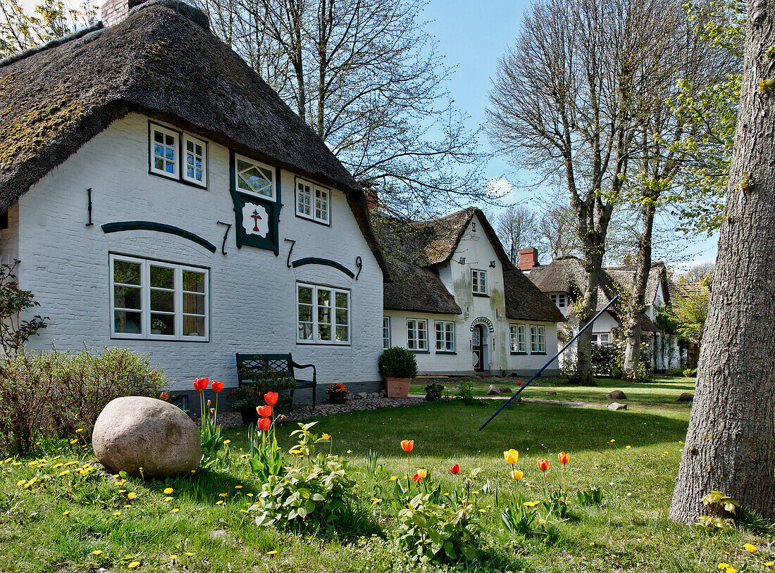 House with thatched roof, Nieblum, North Sea Island Foehr, Schleswig-Holstein, Germany