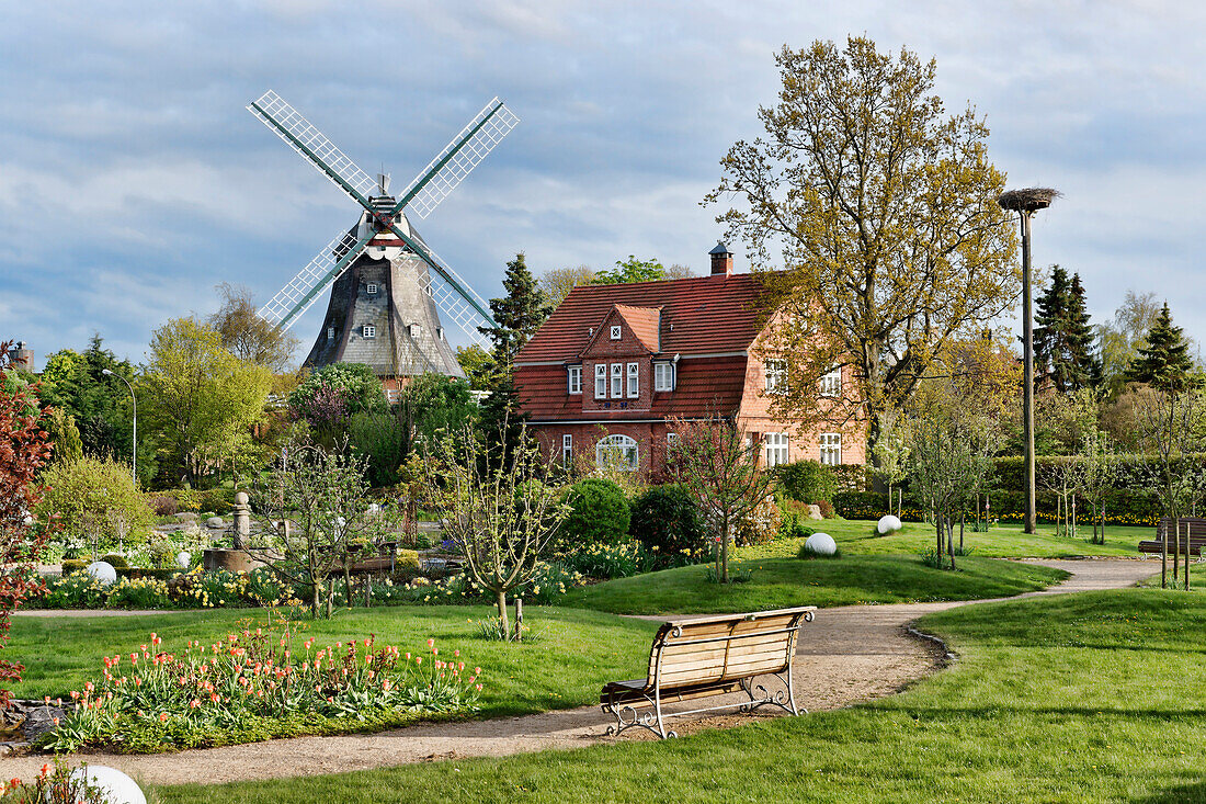 Park an der Mühle, Wyk, Nordseeinsel Föhr, Schleswig-Holstein, Deutschland