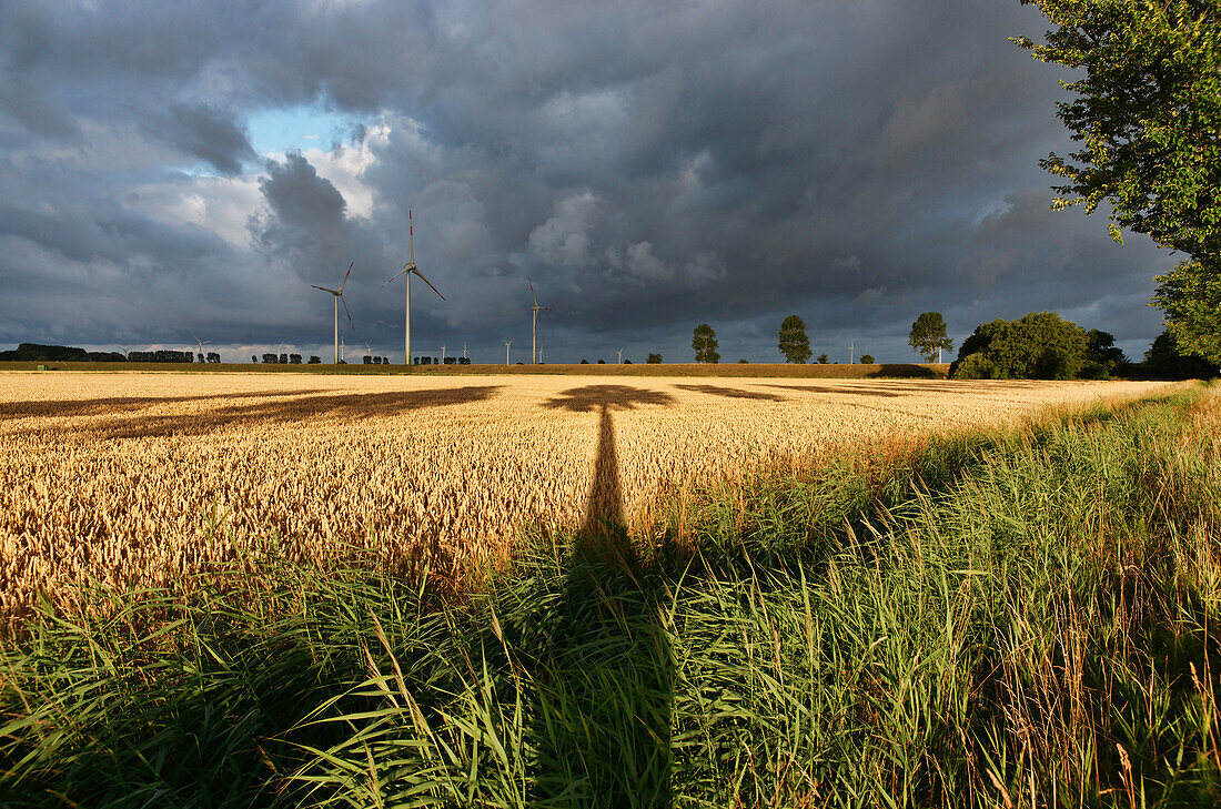 Wind Turbines in the Friedrichskoog, Dithmarschen, Schleswig-Holstein, Germany