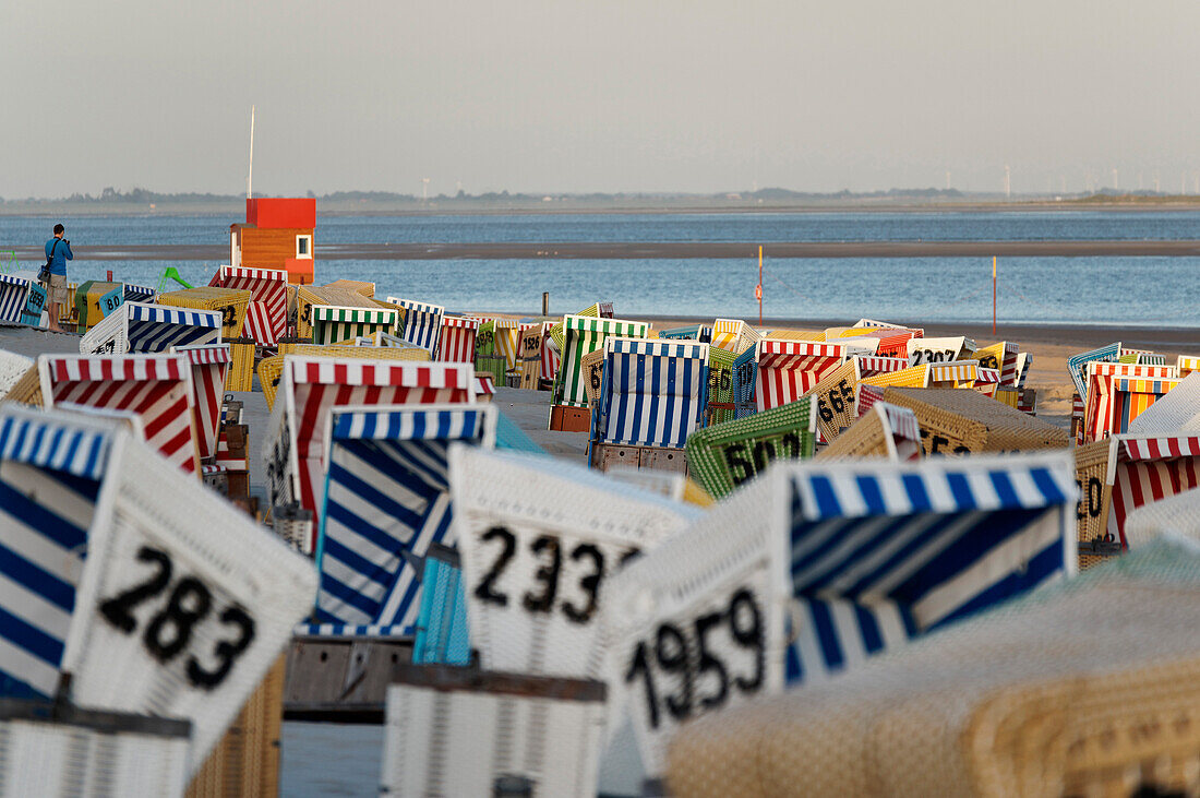 Canopied Beach Chairs on the beach, North Sea Spa Resort Langeoog, East Frisia, Lower Saxony, Germany