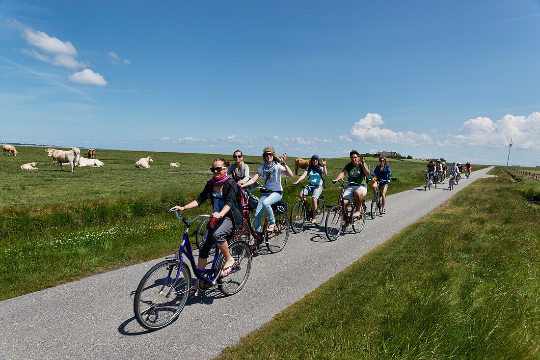 Fahrradfahrer vor der Ketelswarf, Hallig Langeness, Nordsee, Schleswig-Holstein, Deutschland