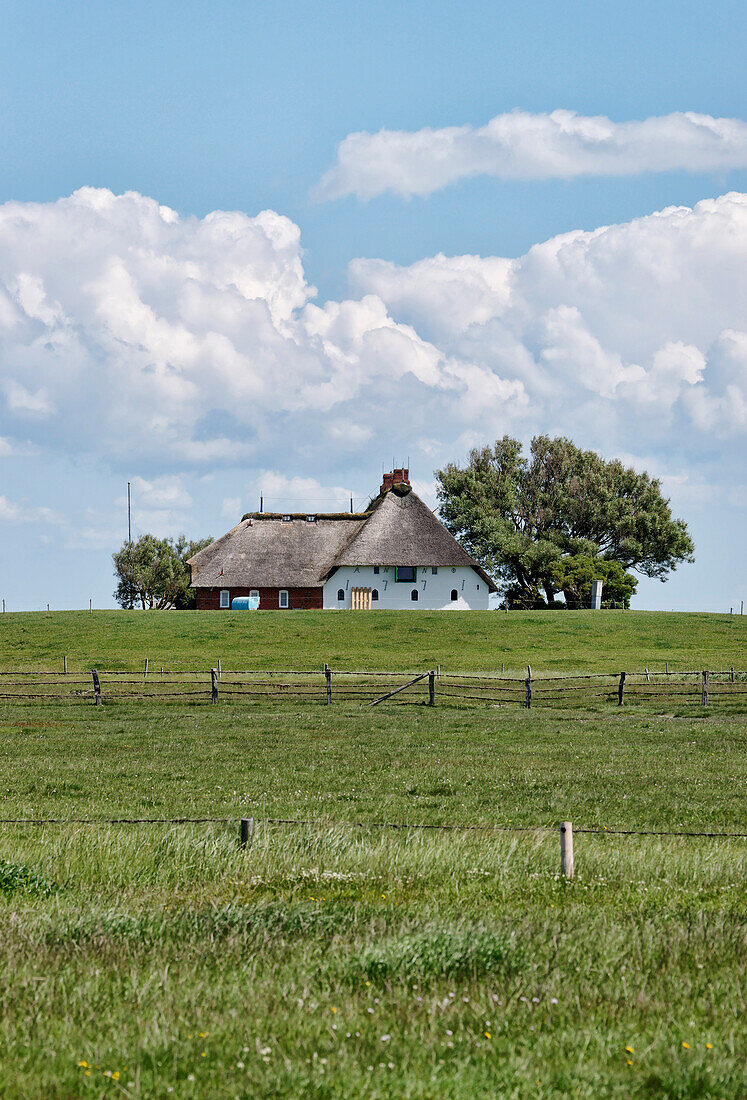 House in Peterhaitzwarf, Hallig Langeness, North Sea, Schleswig-Holstein, Germany