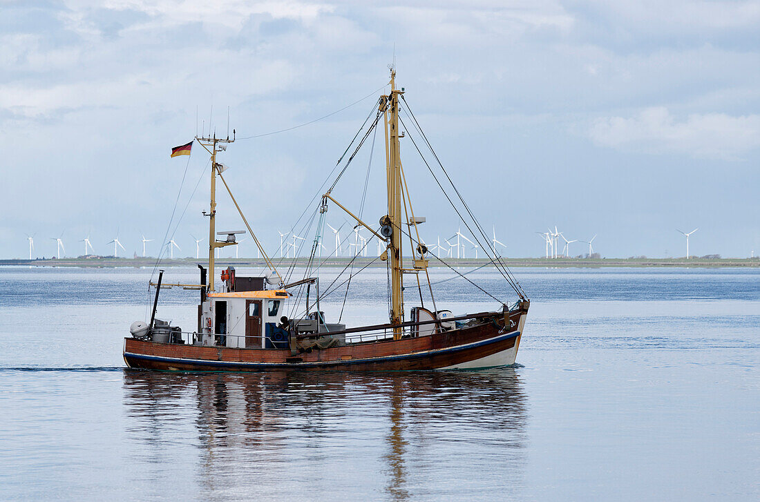 Fishing boat, Cutter, North Sea, at Dagebuell, Schleswig-Holstein, Germany