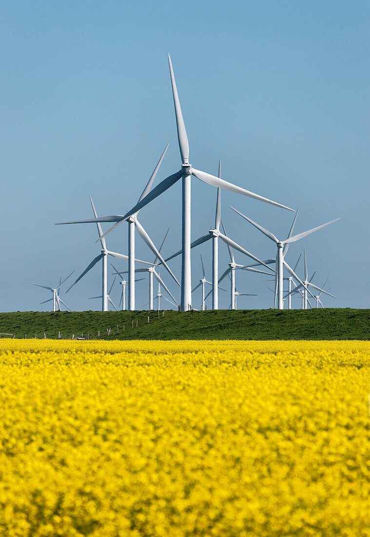 Windpark at Bredstedt, Schleswig-Holstein, Germany