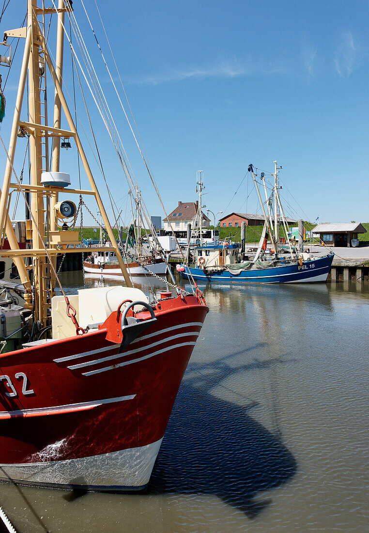 Port in Tammensiel, North Sea Island Pellworm, Schleswig-Holstein, Germany