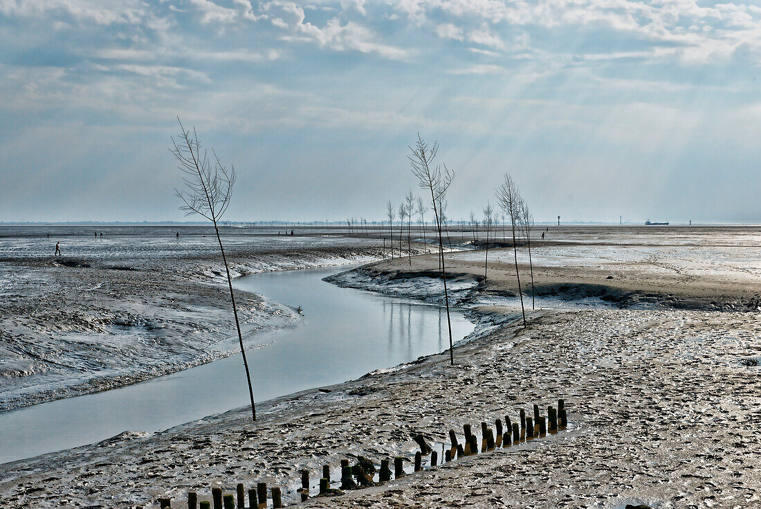 Wadden Sea National Park Mudflats, Shipping Canal of the Fishing Port, Wremen, Lower Saxony, Cuxhaven, Germany