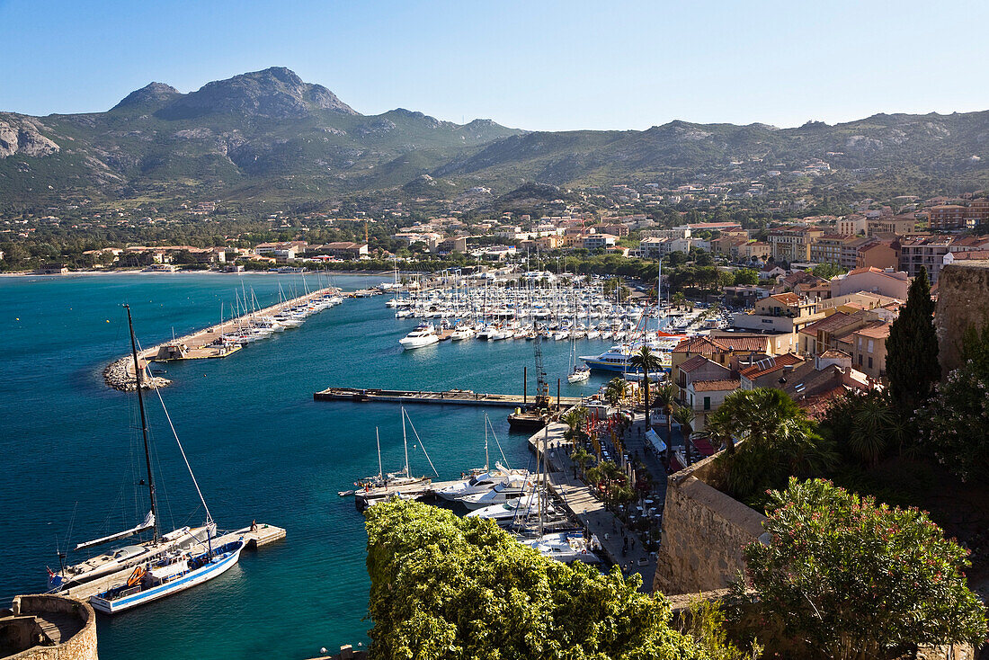 Calvi harbour, Corsica, France, Europe