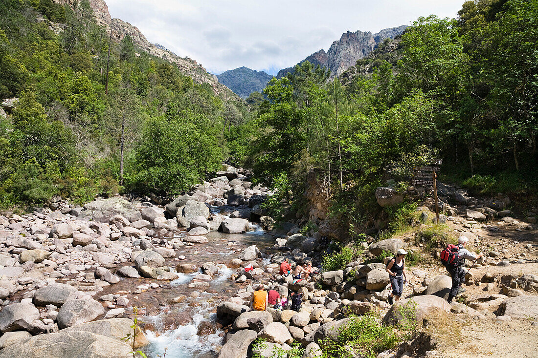 Figarella river, Foret de Bonifatu, Corsica, France, Europe