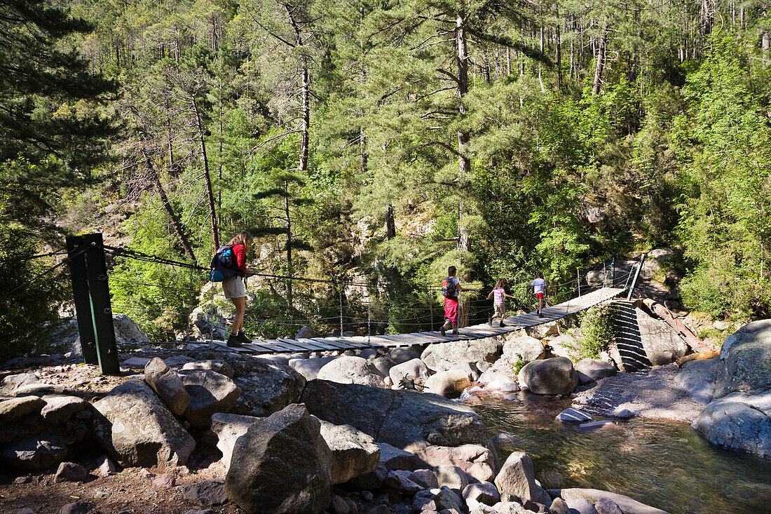 Suspension bridge over Spasmiata river, Foret de Bonifatu, Corsica, France, Europe