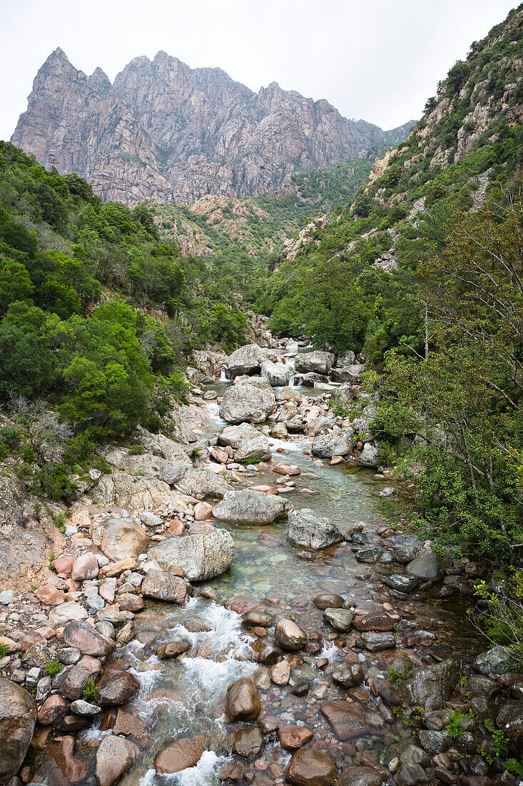 Spelunca Gorge, River Porto near the village of Ota, Corsica, France, Europe