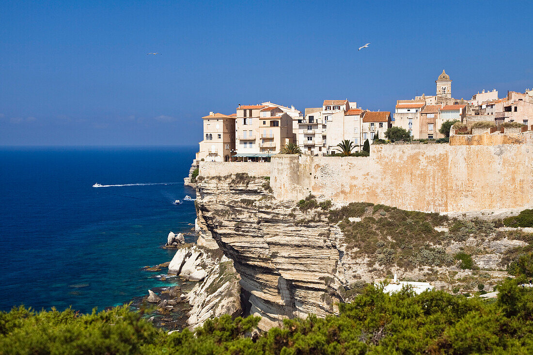 Bonifacio, Südküste, Korsika, Frankreich, Europa