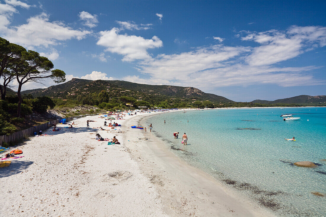 Palombaggia beach, south-east coast, Corsica, France, Europe
