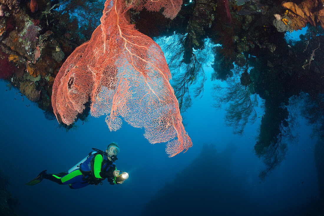 Scuba Diver at Liberty Wreck, Tulamben, Bali, Indonesia