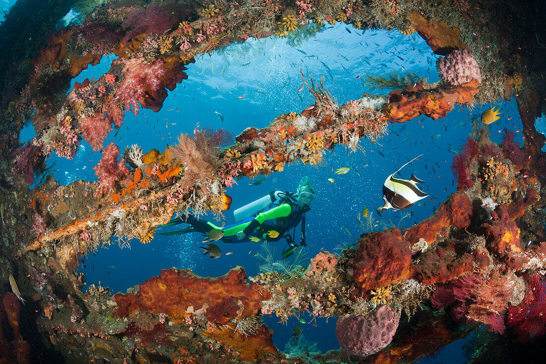 Taucher am Liberty Wrack, Tulamben, Bali, Indonesien