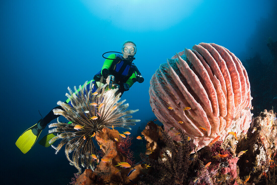 Tauchen in Bali, Alam Batu, Bali, Indonesien