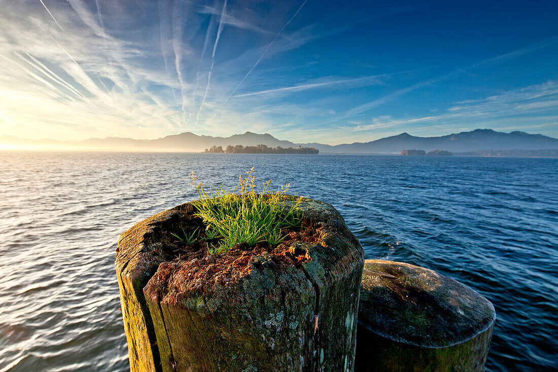 Morgenstimmung in Gstadt mit Blick auf Fraueninsel, Chiemsee, Chiemgau, Oberbayern, Bayern, Deutschland