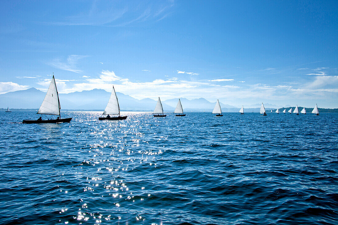 Chiemsee Regatta, Chiemsee, Chiemgau, Upper Bavaria, Bavaria, Germany