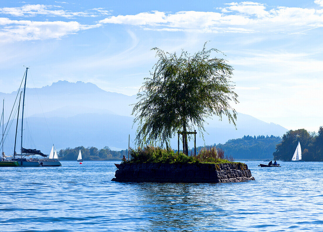 Small ssland with a Weeping Willow with the Kampenwand in the background, Chiemsee, Chiemgau, Northern Chalk Alps, Eastern Alps, European Alps, Upper Bavaria, Bavaria, Germany