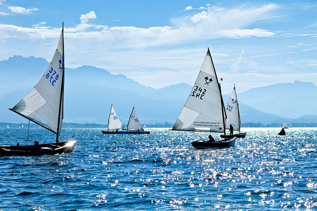 Chiemsee Regatta, Chiemsee, Chiemgau, Upper Bavaria, Bavaria, Germany