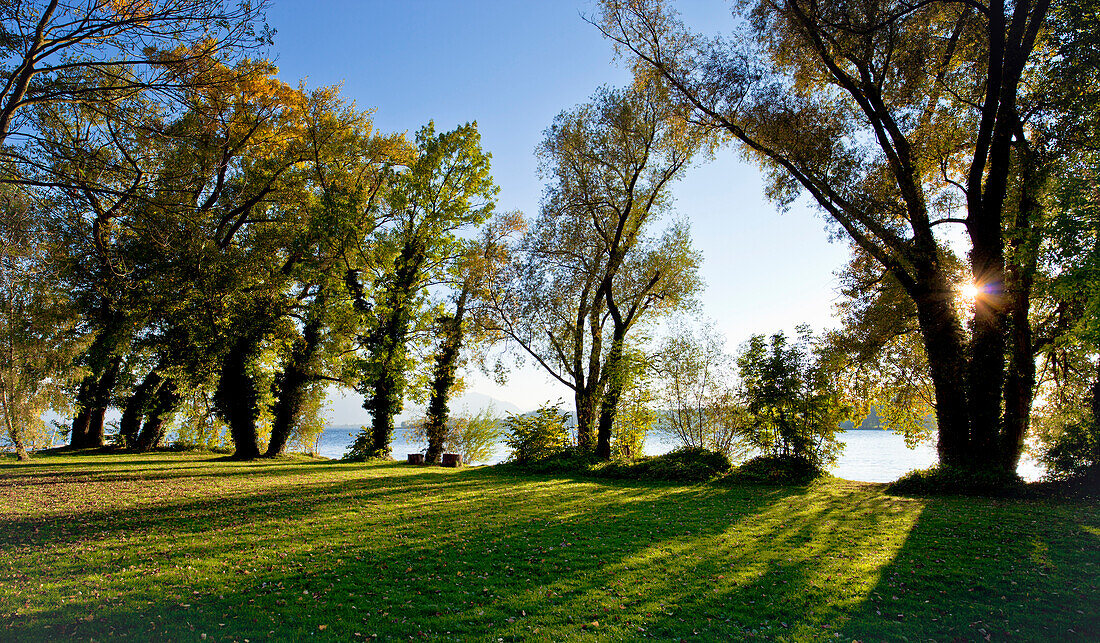 Nachmittagslicht auf der Westseite der Fraueninsel, Chiemsee, Chiemgau, Oberbayern, Bayern, Deutschland