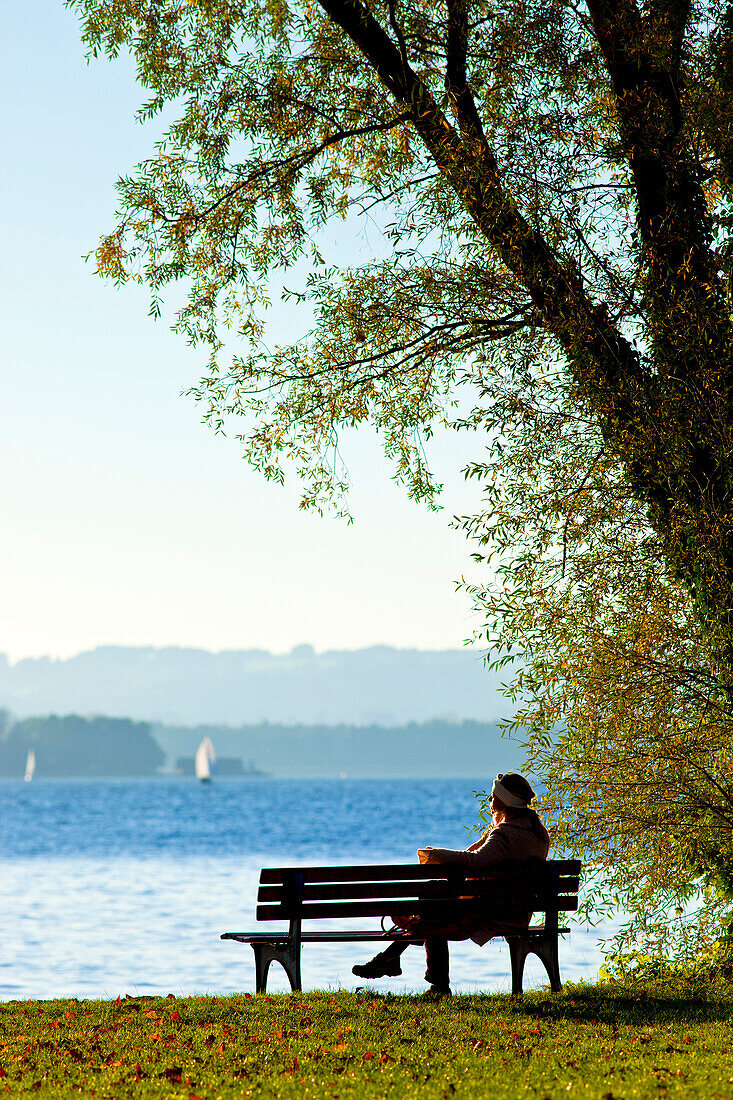 Benches on the west side of the Fraueninsel, Chiemsee, Chiemgau, Upper Bavaria, Bavaria, Germany