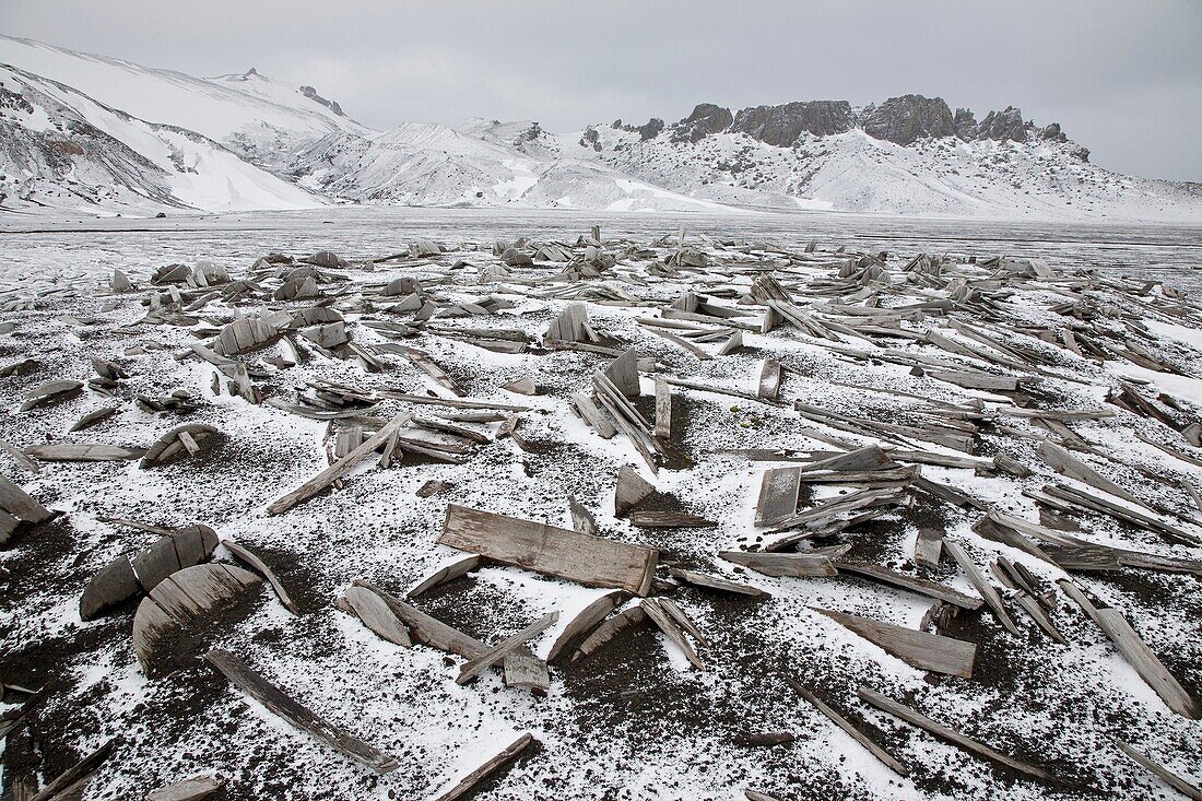 Snow covering the old barrel staves at Whalers Bay inside of the caldera at Deception Island, South Shetland Islands, Antarctica, Southern Ocean MORE INFO A recently active volcano, its eruptions in 1967 and 1969 caused serious damage to the scientific s