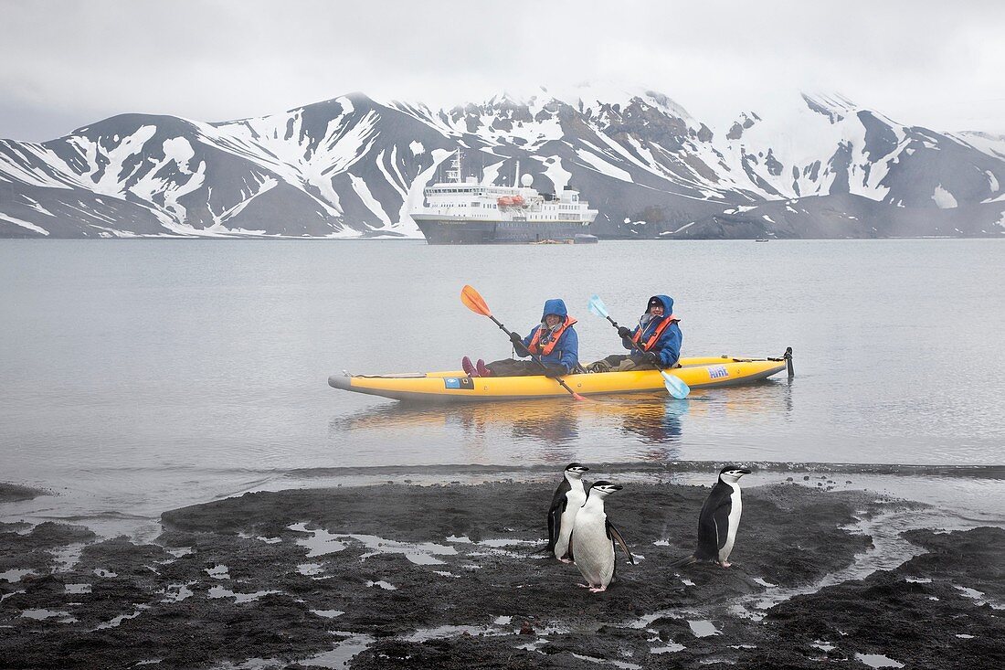 Guests from the Lindblad Expedition ship National Geographic Explorer kayaking in and around the Antarctic Peninsula in the summer months