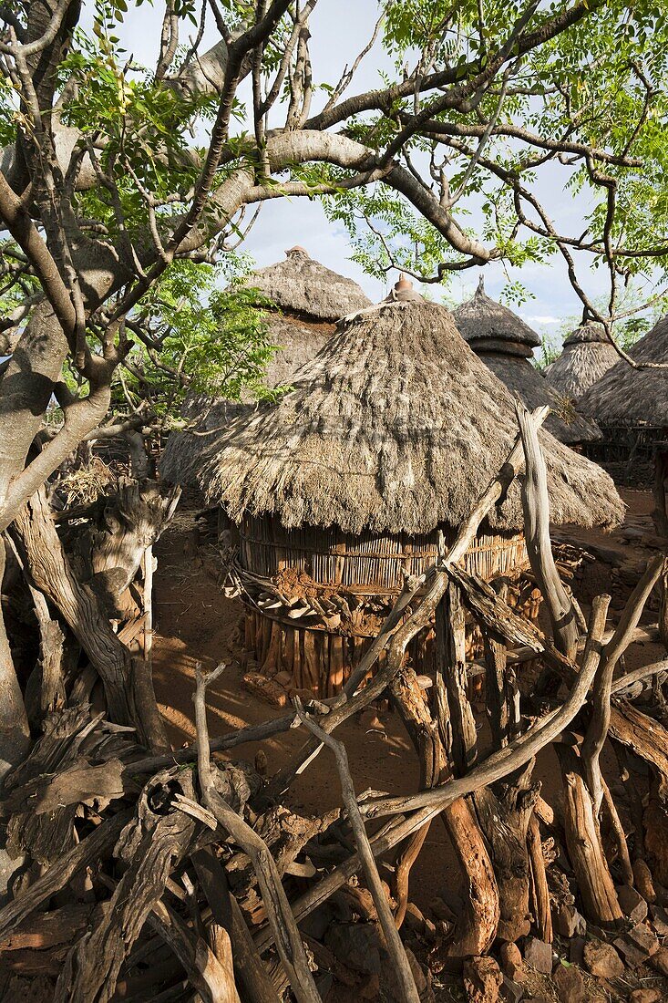 Traditional Konso village on a mountain ridge overlooking the rift valley Inside a family compound The Konso are living in tradtional villages with compunds for each family The compounds are connected by a maze of stone walled and fenced pathways  The