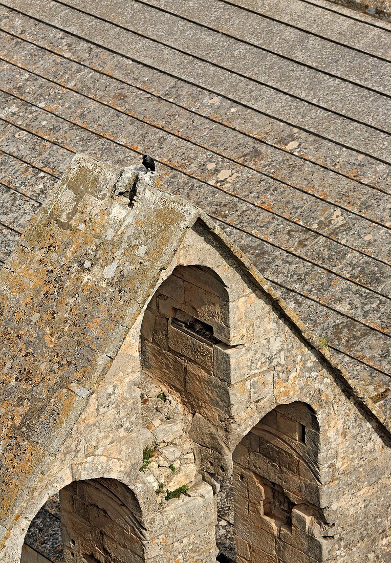 Montmajour abbey, near Arles, Provence, France