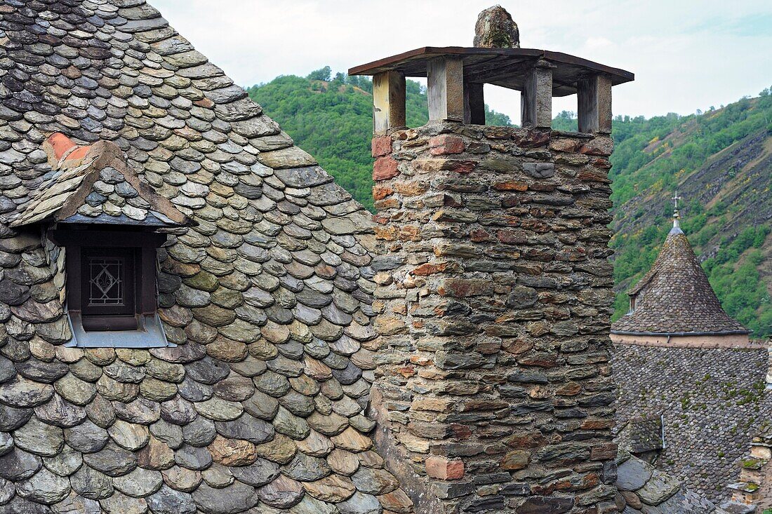 Traditional roof, Conques, France