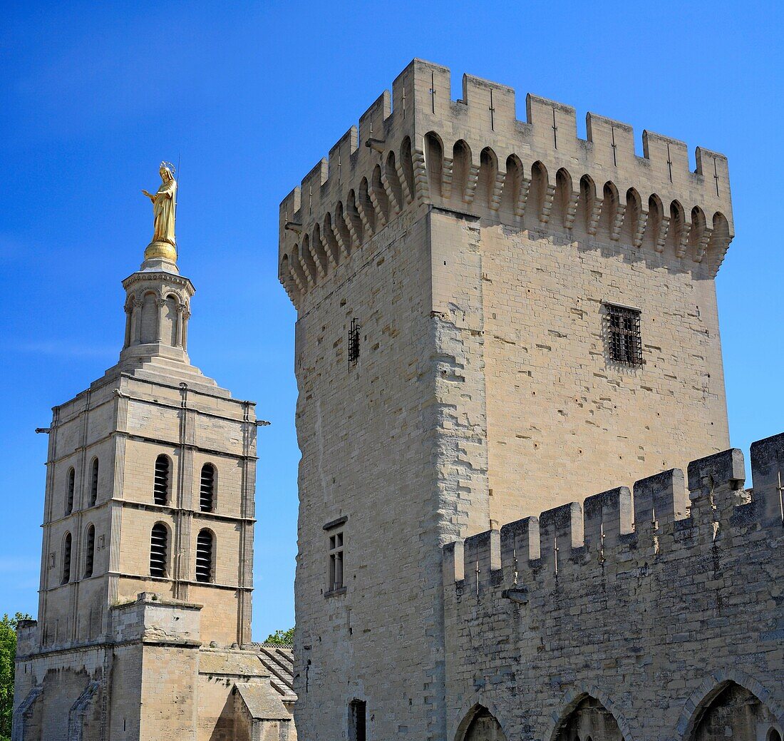 Papal Palace 14 cent, UNESCO World Heritage Site, Avignon, Provence, France