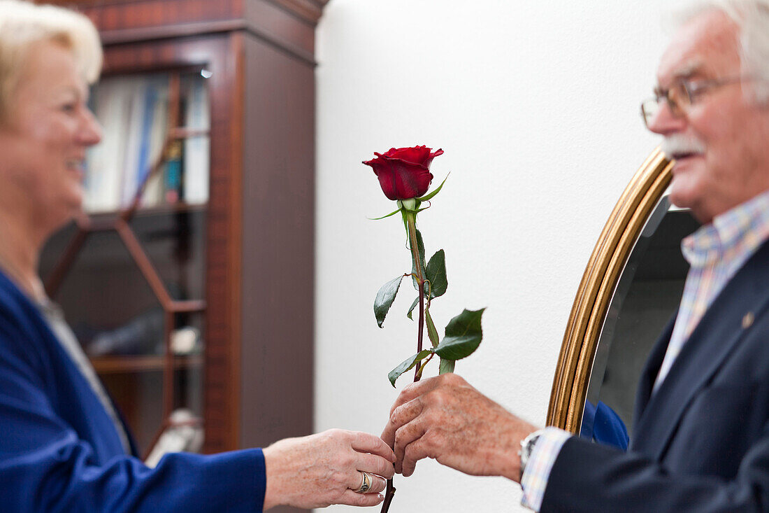 Ein alter Mann überreicht einer alten Frau eine Rose, Zürich, Schweiz