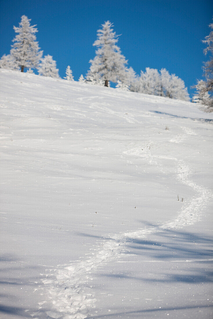 Spuren im Schnee, Steiermark, Österreich