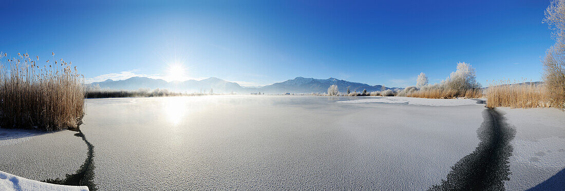 Panorama of lake Eichsee with sheet of ice and hoarfrost, Benediktenwand, Jochberg and Herzogstand in background, lake Eichsee, Bavarian foothills, Upper Bavaria, Bavaria, Germany, Europe