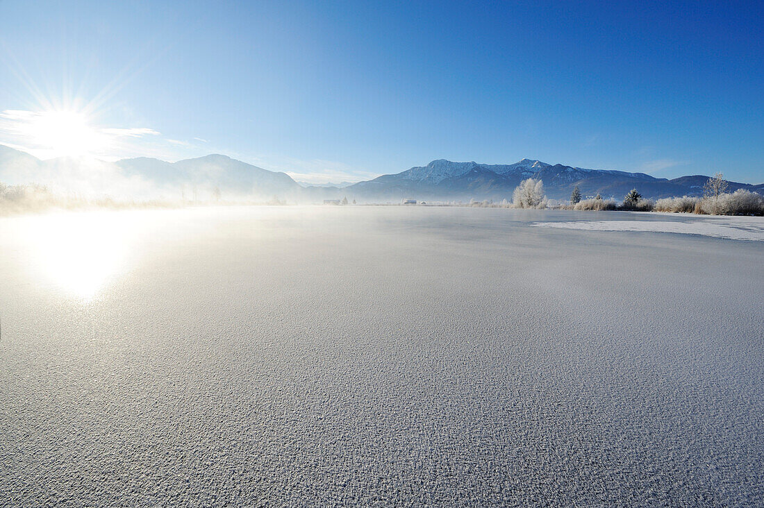 Lake Eichsee with sheet of ice and hoarfrost, Herzogstand and Heimgarten in background, lake Eichsee, Bavarian foothills, Upper Bavaria, Bavaria, Germany, Europe