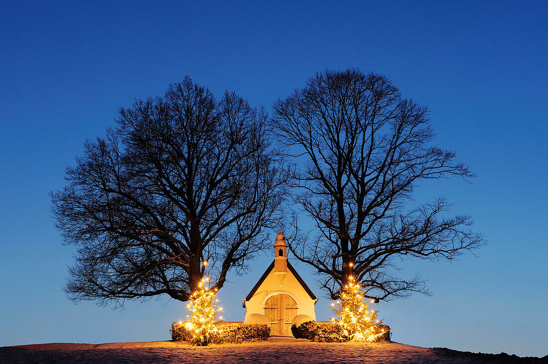 Beleuchtete Kapelle mit zwei beleuchteten Christbäumen, Chiemsee, Chiemgau, Oberbayern, Bayern, Deutschland, Europa