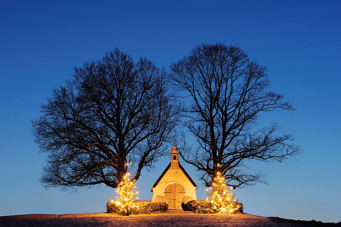 Illuminated chapel with two illuminated Christmas trees, lake Chiemsee, Chiemgau, Upper Bavaria, Bavaria, Germany, Europe