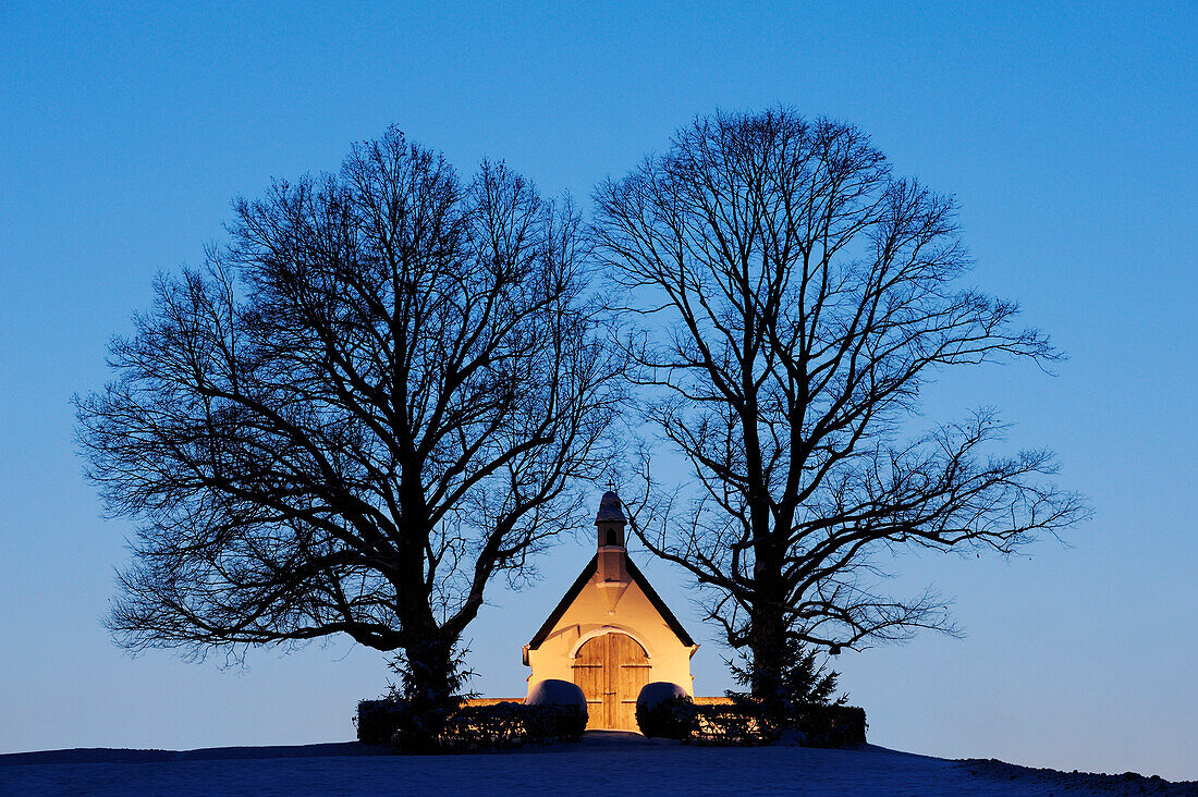 Illuminated chapel with two trees, lake Chiemsee, Chiemgau, Upper Bavaria, Bavaria, Germany, Europe