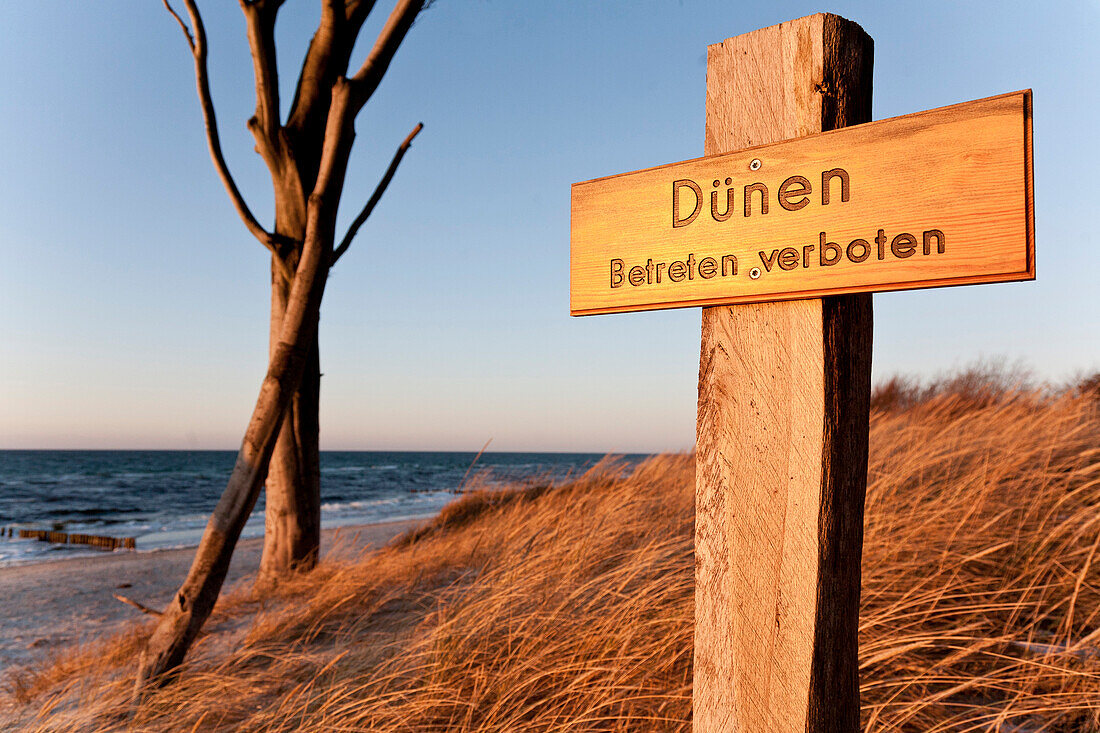 Keep off! sign in dunes, West Coast, Darss, Baltic sea spa Ahrenshoop, Mecklenburg-Western Pomerania, Germany