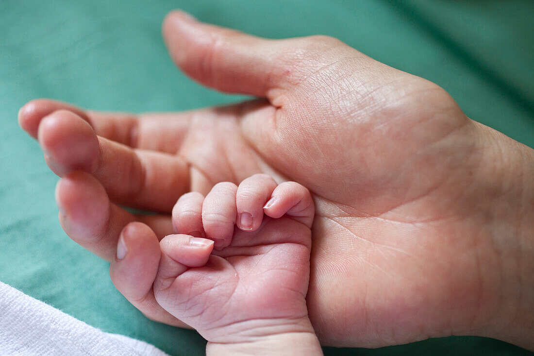 Mother and baby hands, Leipzig, Saxony, Germany