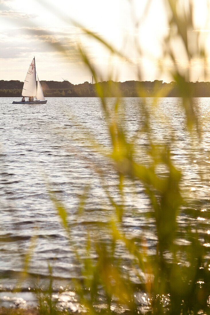 Sailboat on Cospuden Lake in the evening, Leipzig, Saxony, Germany
